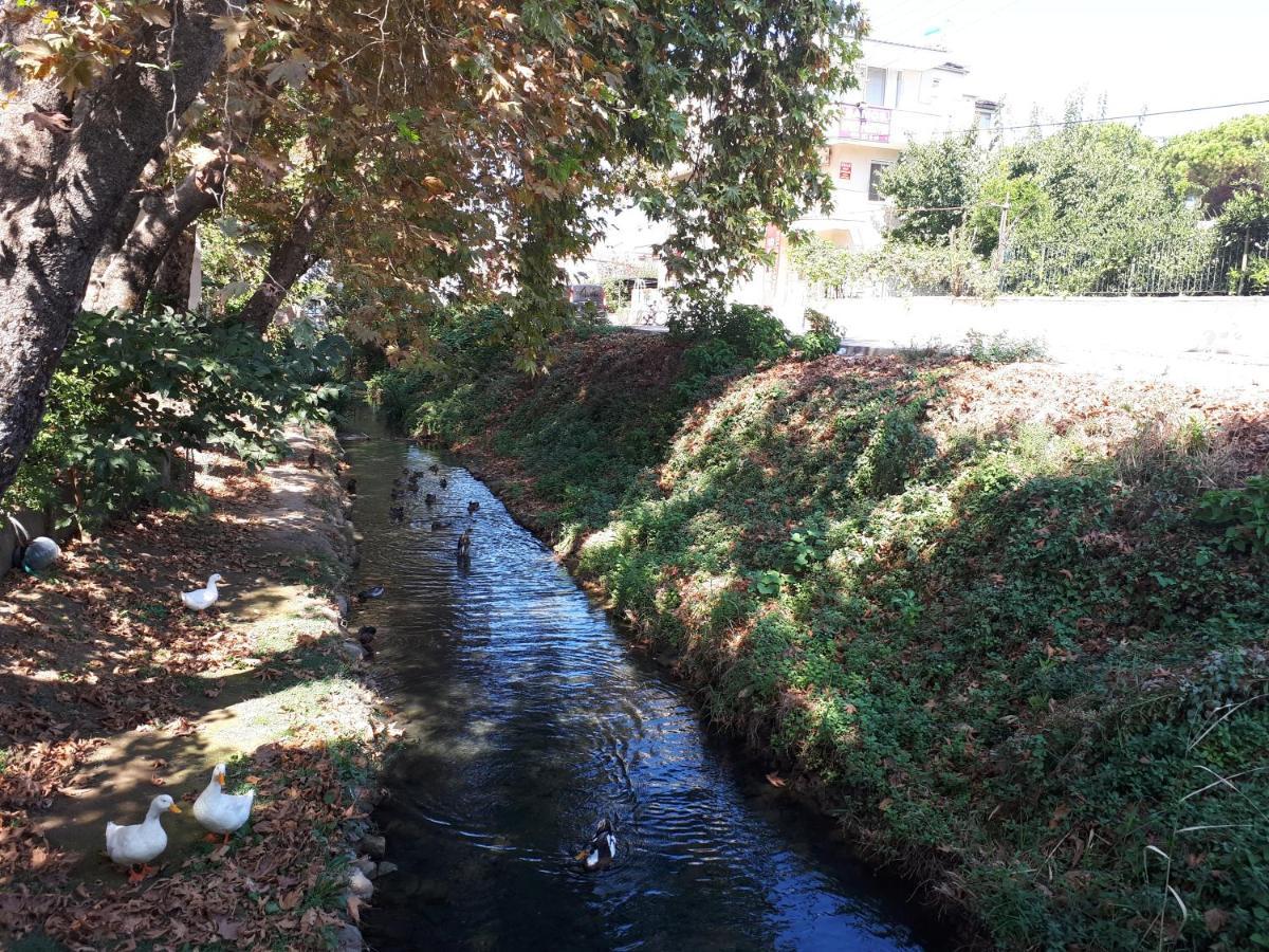 Samos Apart Pension กุเซลชามิล ภายนอก รูปภาพ