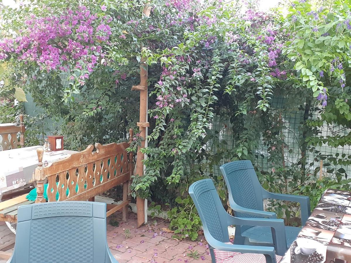 Samos Apart Pension กุเซลชามิล ภายนอก รูปภาพ