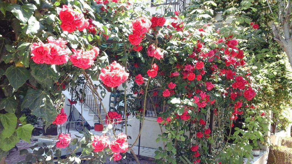 Samos Apart Pension กุเซลชามิล ภายนอก รูปภาพ