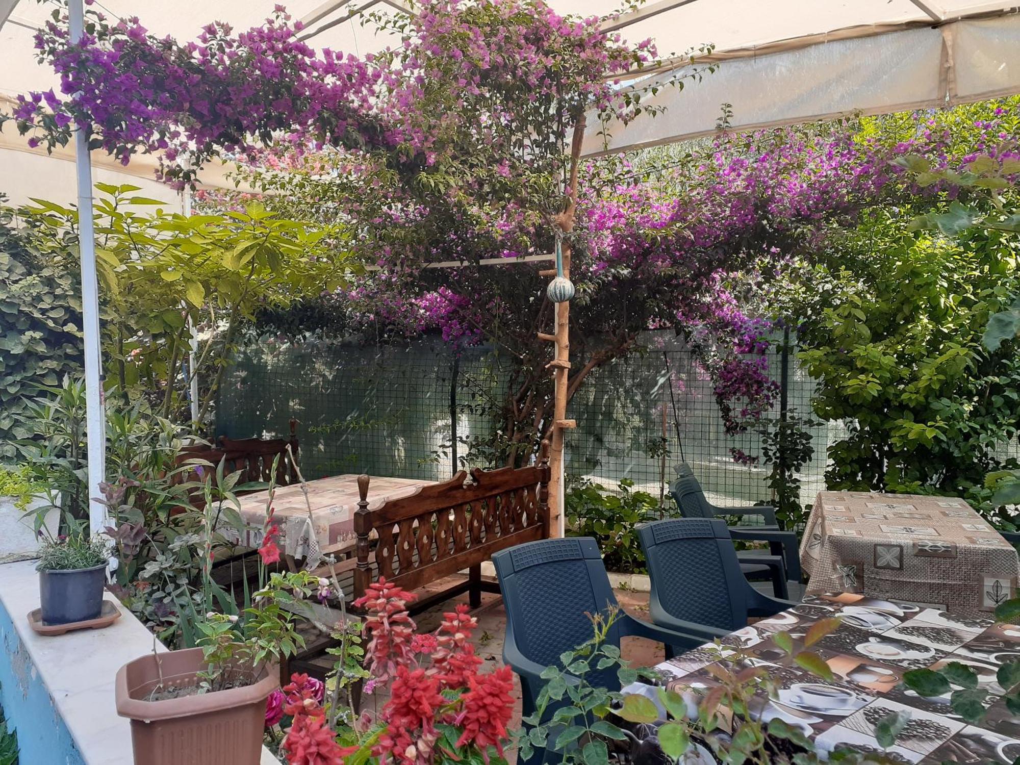 Samos Apart Pension กุเซลชามิล ภายนอก รูปภาพ