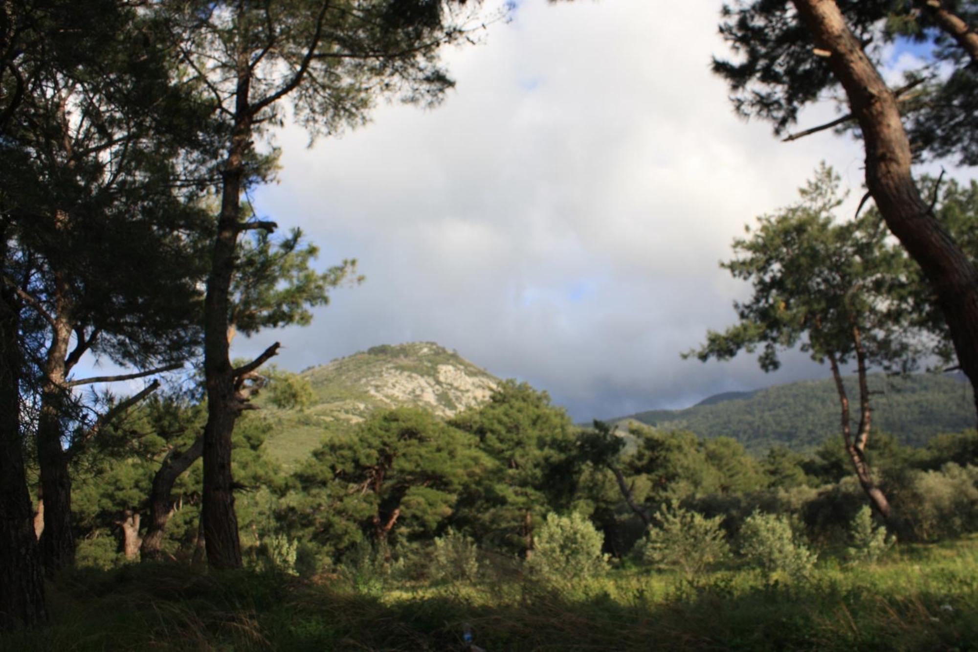 Samos Apart Pension กุเซลชามิล ภายนอก รูปภาพ