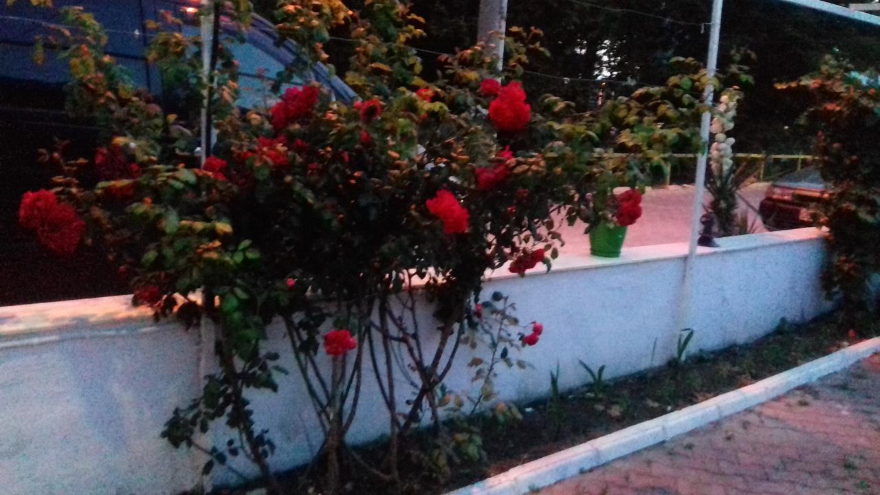 Samos Apart Pension กุเซลชามิล ภายนอก รูปภาพ