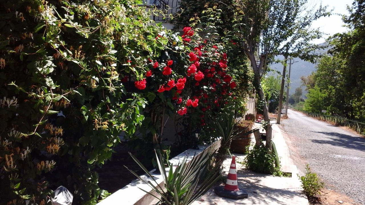 Samos Apart Pension กุเซลชามิล ภายนอก รูปภาพ